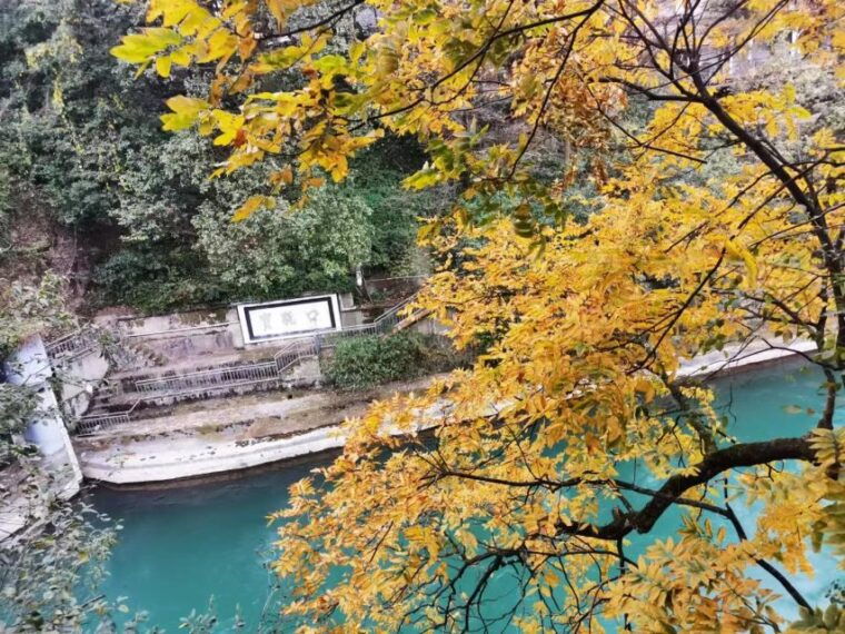 1-day-mount-qingcheng-and-dujiangyan-irrigation-system-tour