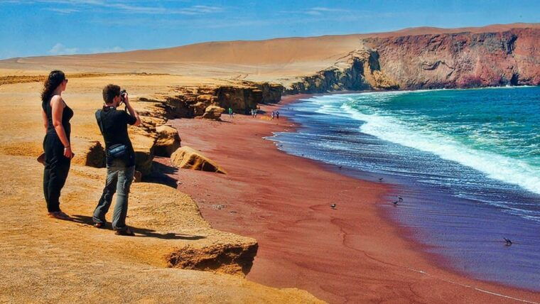 1-day-tour-to-ballestas-and-the-paracas-national-reserve