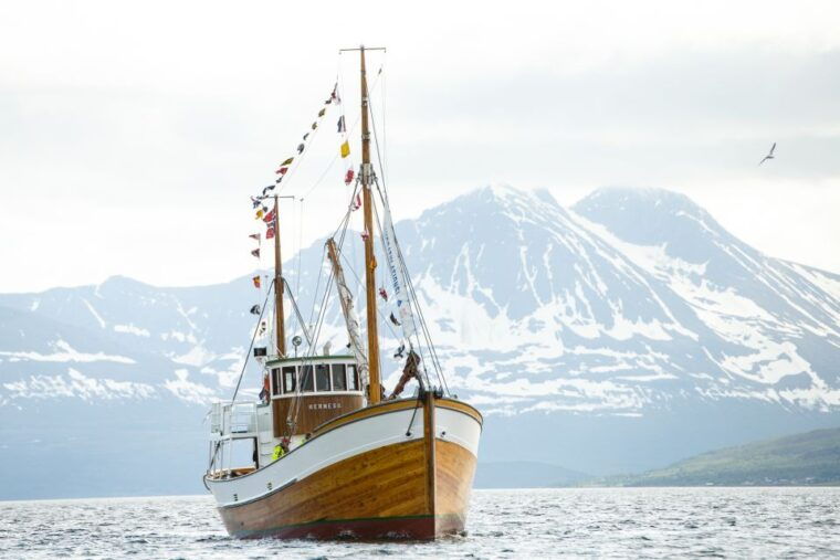 1-hour-photo-history-cruise