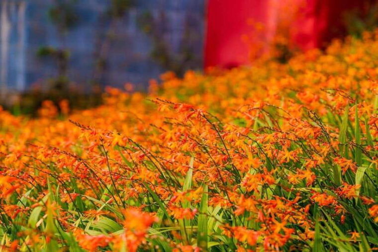 2-day-tour-to-sapa-stay-hotel-with-beautiful-natural-view