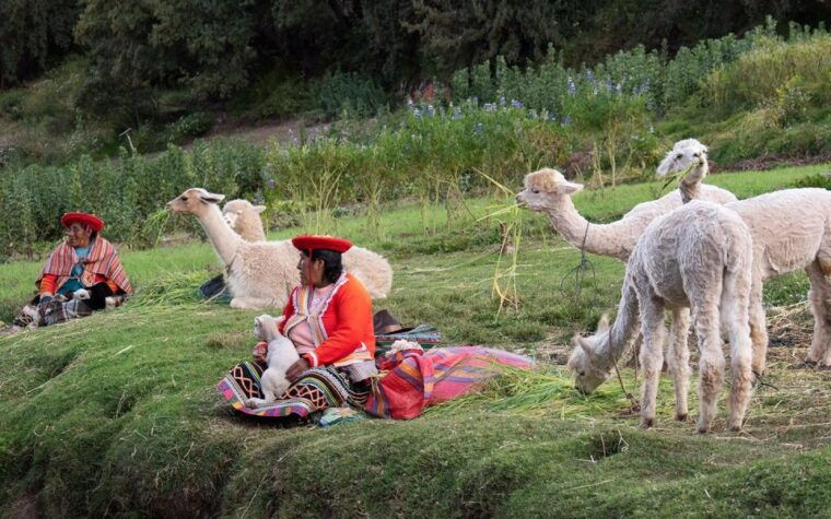 2-days-city-tour-in-cusco-and-machupicchu-tour-by-train
