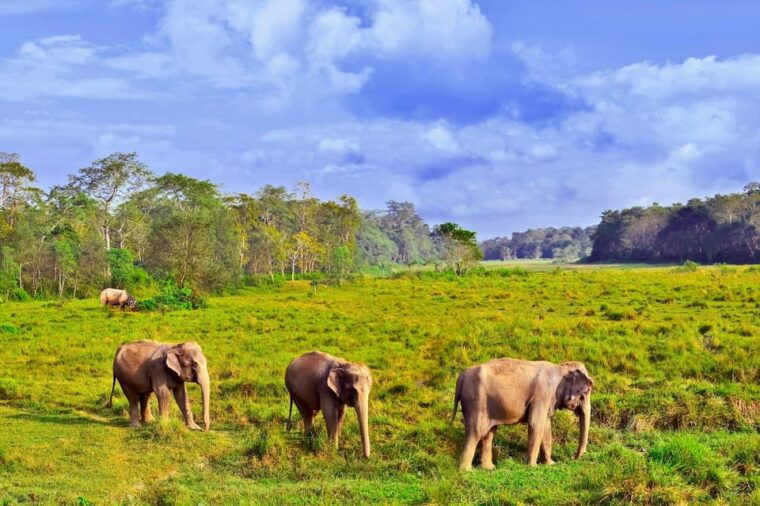 3-days-chitwan-jungle-tour-with-meals-kathmandu-pokhara