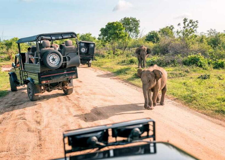 4-day-adventure-tour-colombo-to-sinharaja-ella-beyond