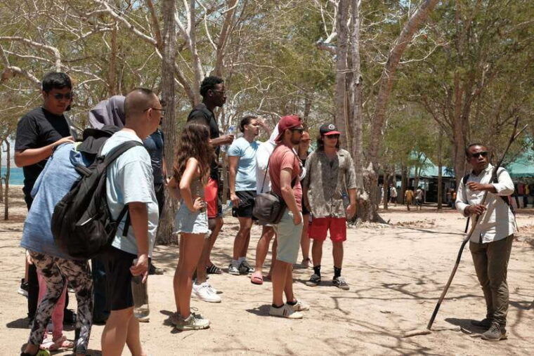 4-day-komodo-island-adventure-dragons-snorkeling-hiking