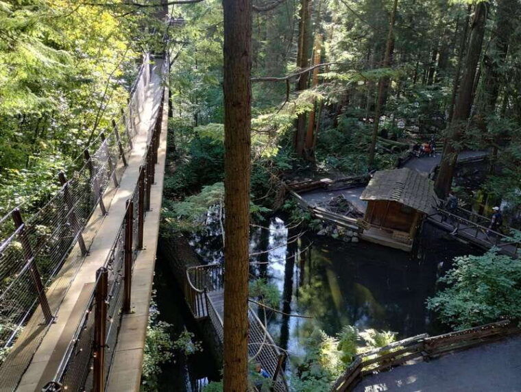 4tourcapilano-suspension-br-car-small-grouplakedamhacher