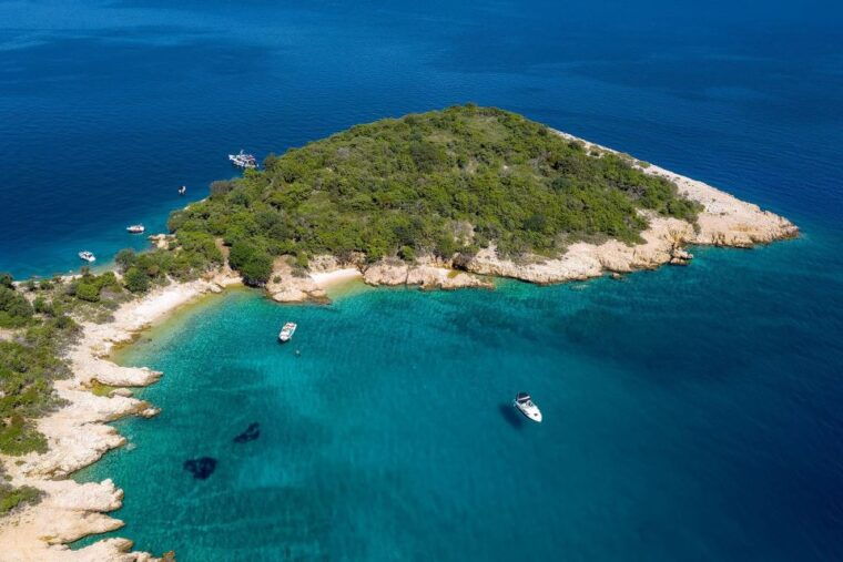 55h-plavnik-island-swim-snorkel-with-capt-bobo-public