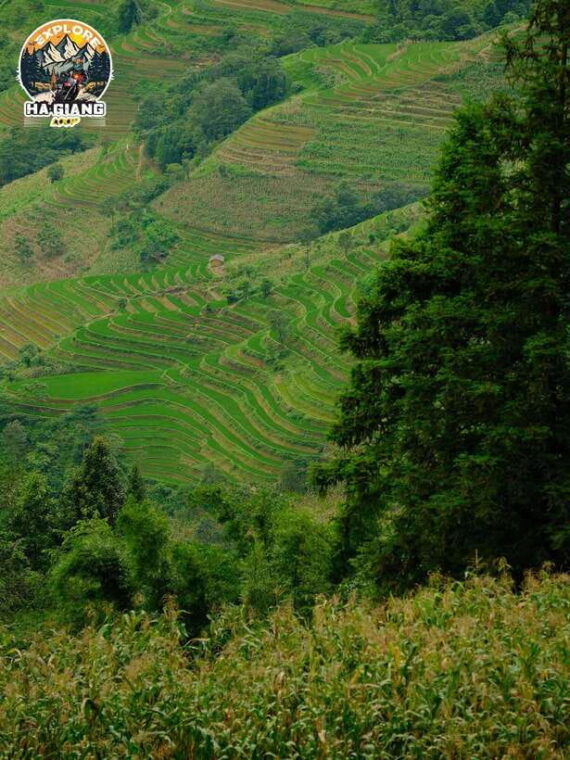 7-day-northern-vietnam-motorbike-adventure