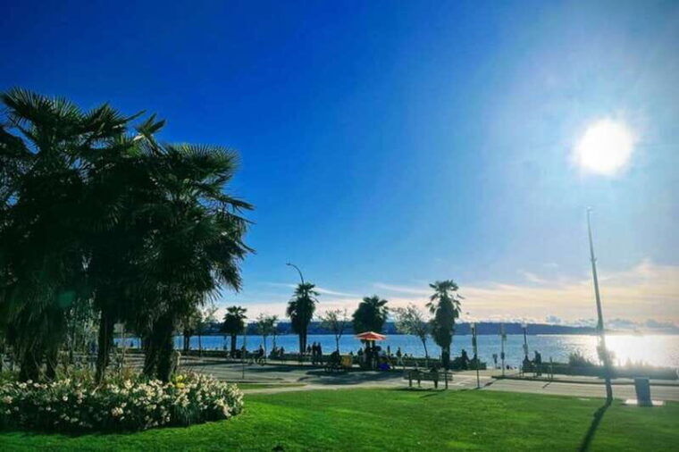 99-vancouver-2-hours-city-tour-private