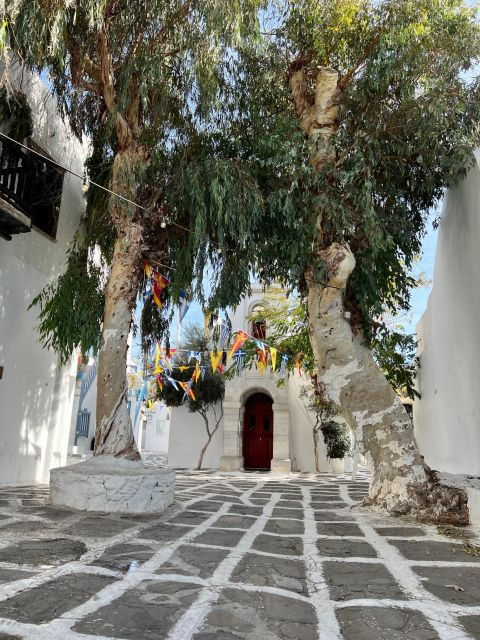 a-discovery-tour-in-mykonos