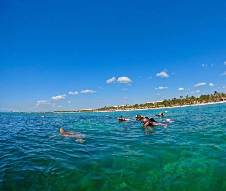 akumal-snorkeling-and-photos-with-turtles