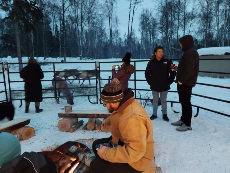 alaskan-fireside-cookout-with-reindeer