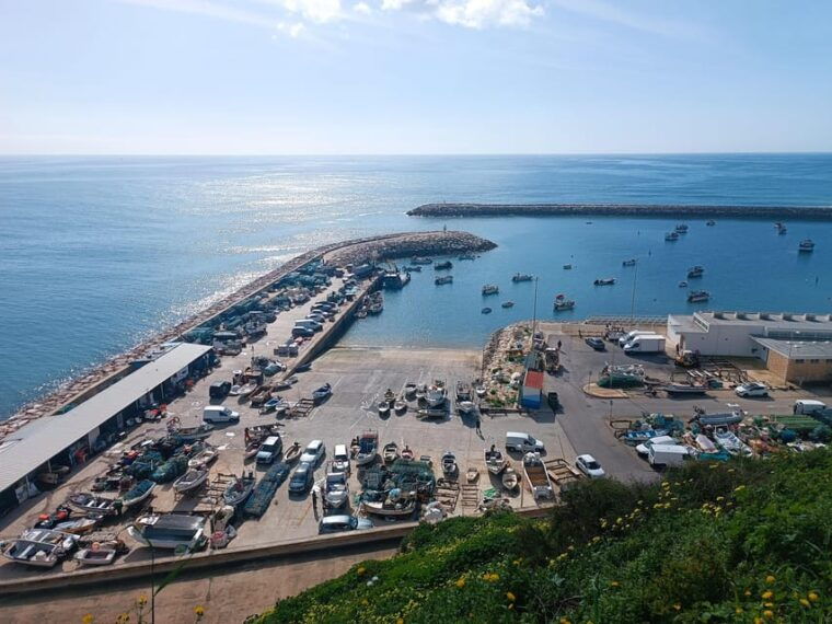 albufeira-city-highlights-wine-tasting