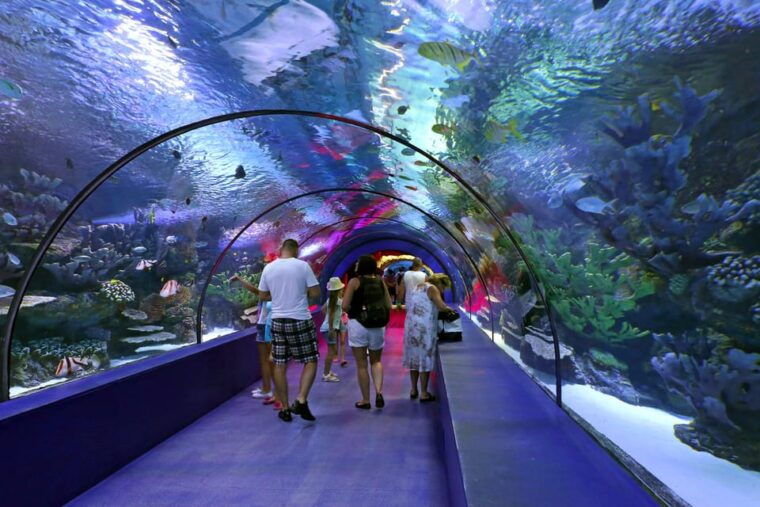 antalya-aquarium-and-wax-museum-entry-ticket