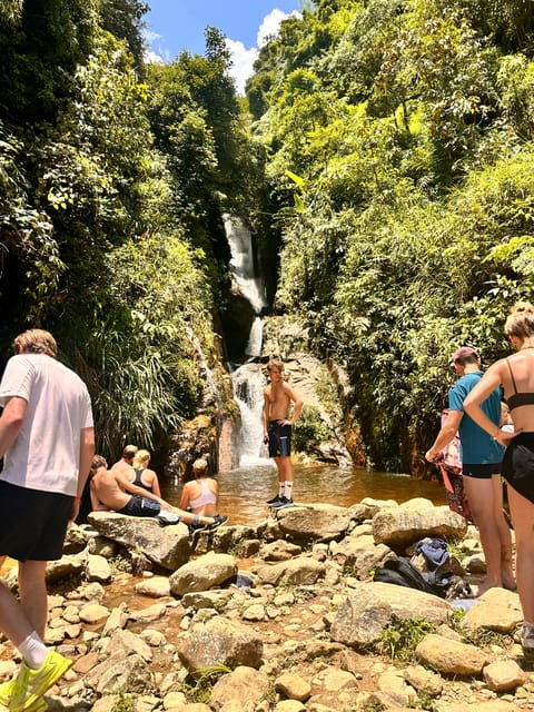 authentic-experiencebambooforestwaterfall-less-tourist