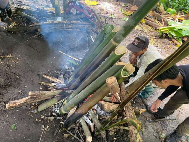 authentic-trek-only-walk-in-chiang-rai-jungle