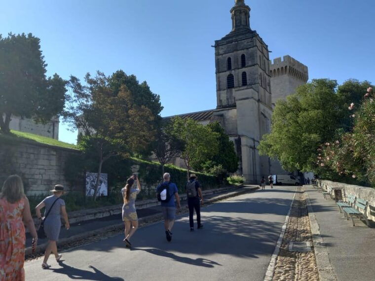 avignon-city-walking-tour-with-popes-palace-entry