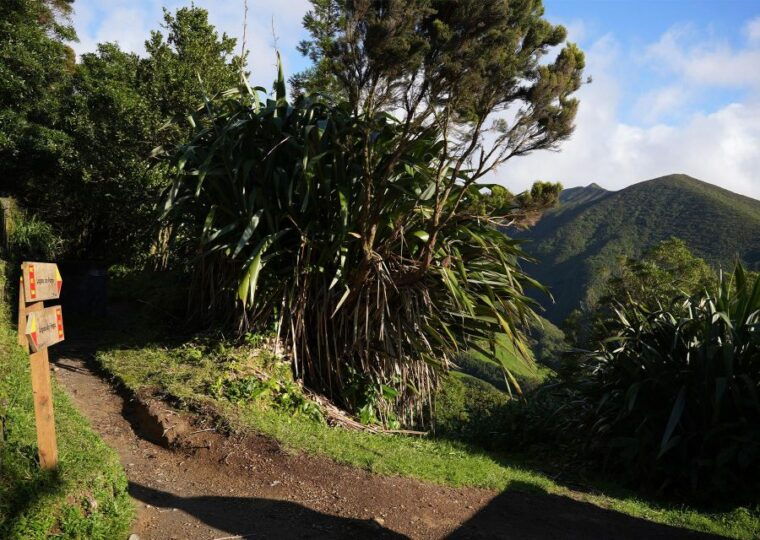 azores-sao-miguel-and-lagoa-do-fogo-hiking-trip
