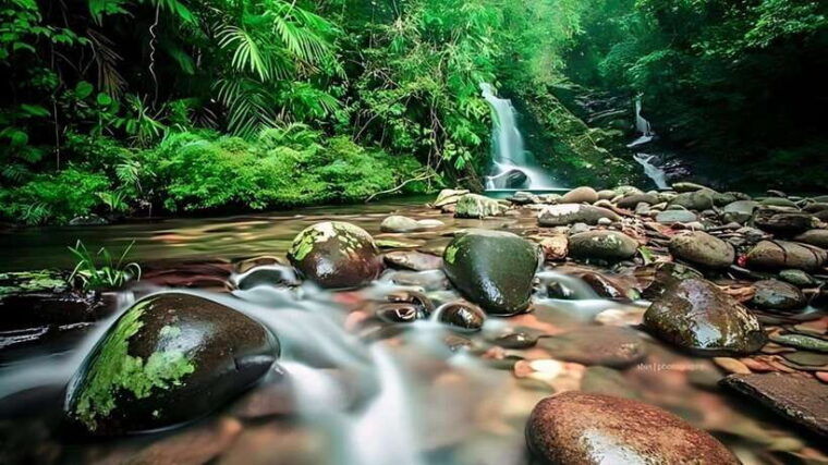 bach-ma-national-park-hiking-day-trip-with-pickup-from-hue