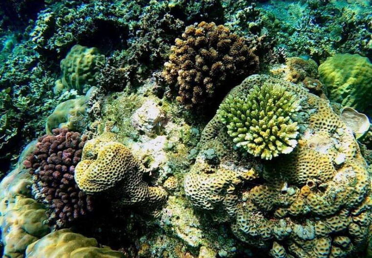 bali-amed-underwater-temple-snorkeling-experience