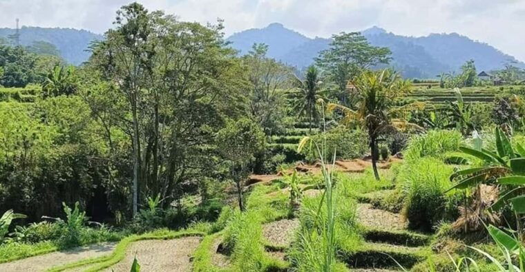 bali-besakih-temple-and-sidemen-tour
