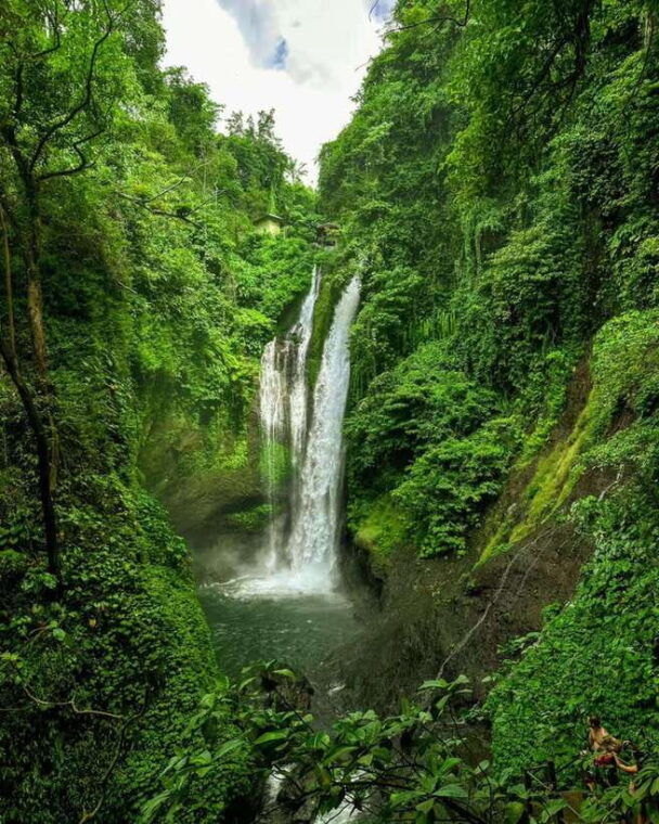 bali-cliff-jumping-gitgit-waterfalls-rice-terrace-tour