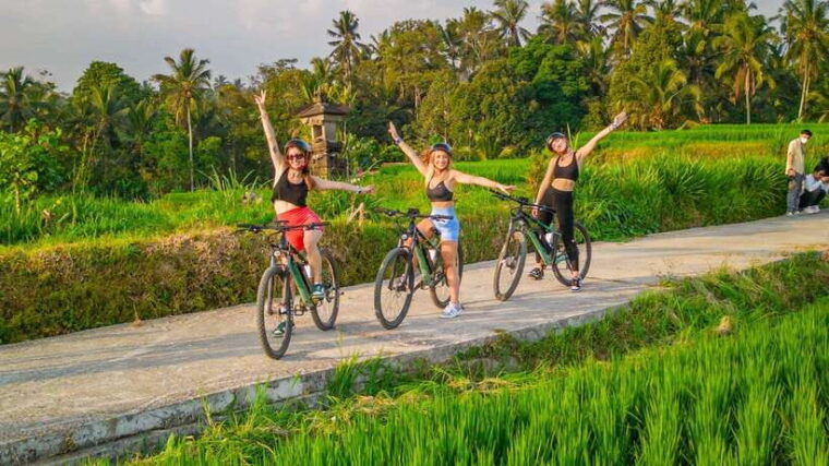 bali-downhilll-cycling-marigold-farm-rice-field-temple