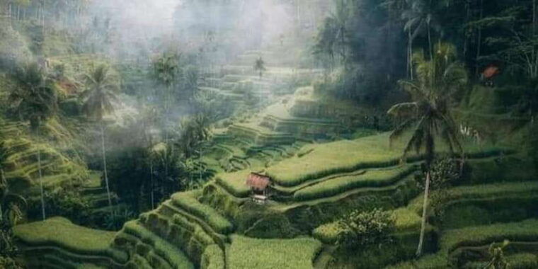 bali-highlight-of-ubud-culture-temple-and-batur-volcano