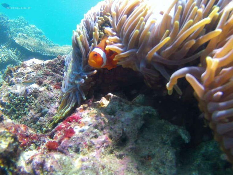 bali-highlights-snorkeling-to-blue-lagoon-with-local-expert