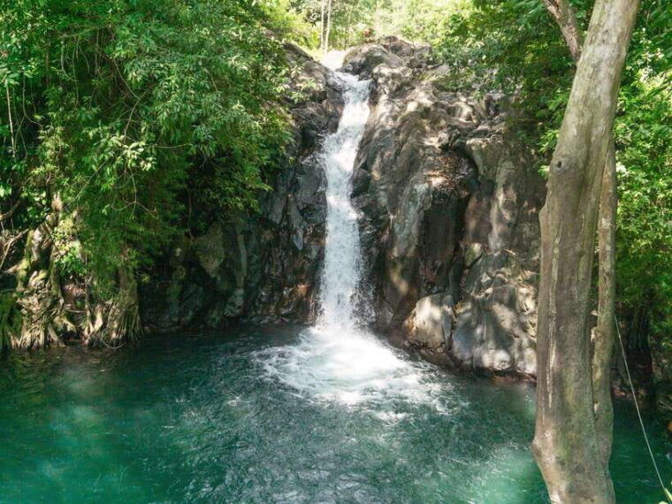 bali-lovina-marine-wonders-dolphin-swim-snorkeling