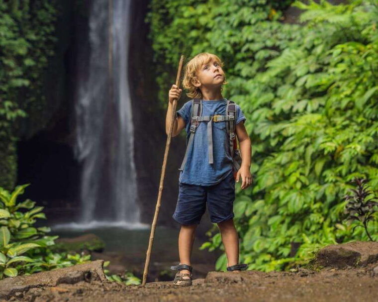bali-north-bali-tour-with-jatiluwih-ulun-danu-waterfall