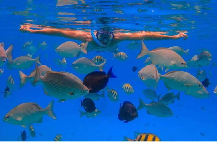 bali-nusa-penida-manta-point-snorkel-boat-west-coast-tour