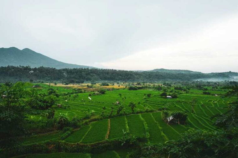 bali-private-sightseeing-trip-north-bali-tour-with-transfer