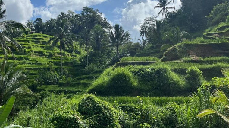 bali-private-tour-highlights-of-bali-with-driver