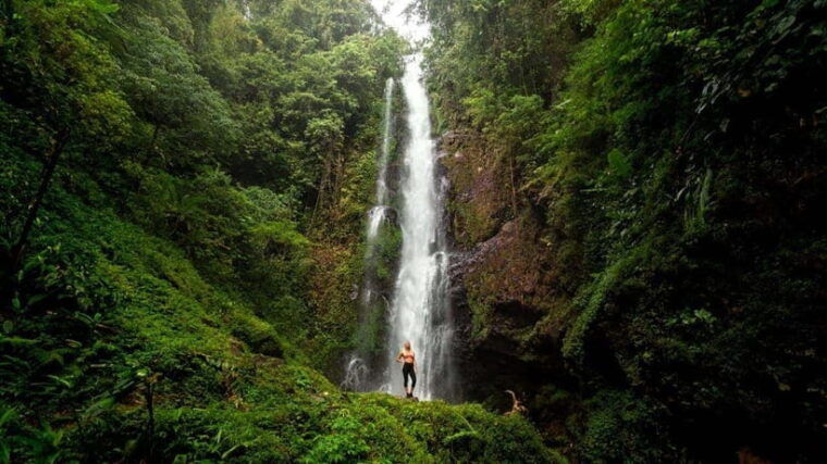 bali-private-waterfall-tour-with-lunch-and-hotel-pickup