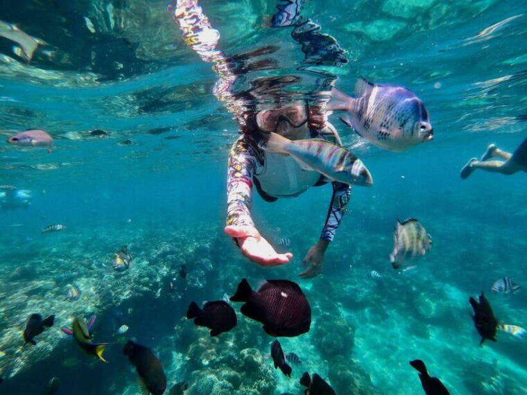 bali-snorkeling-blue-lagoon-and-tanjung-jepun-all-inclusive