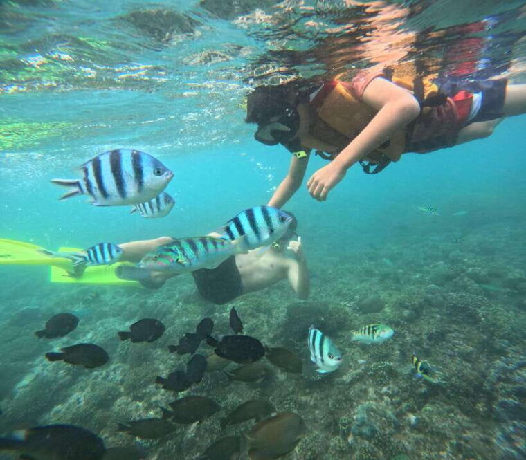 bali-snorkeling-experience-in-blue-lagoon-and-tanjung-jepun