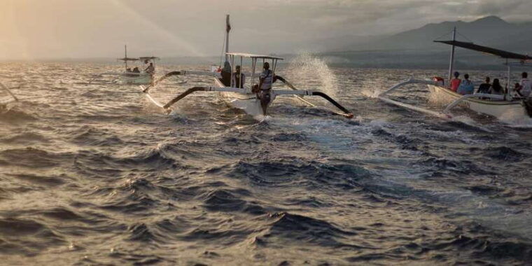bali-swimming-with-dolphin-waterfal-tour-all-inclusive