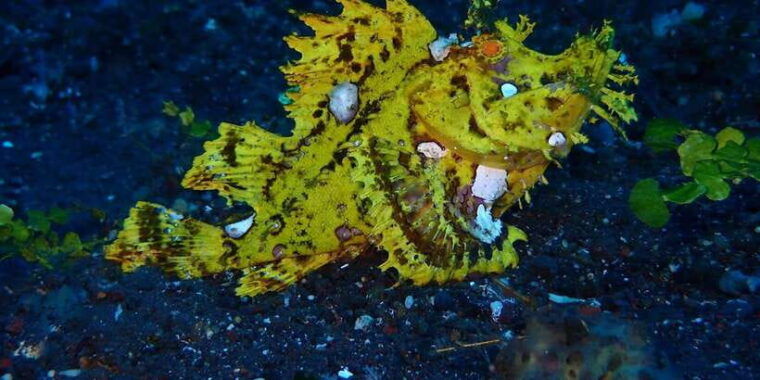 bali-tulamben-usat-liberty-wreck-scuba-diving