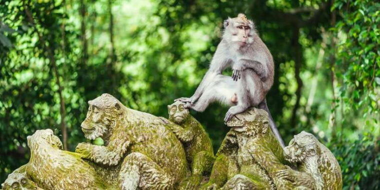 bali-ubud-and-tanah-lot-small-group-guided-tour