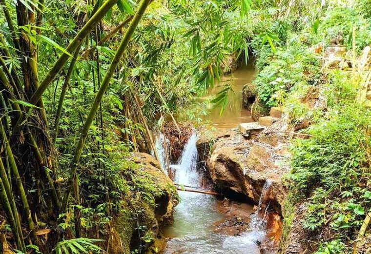 balis-mystical-jungle-trek-hidden-waterfall-adventure