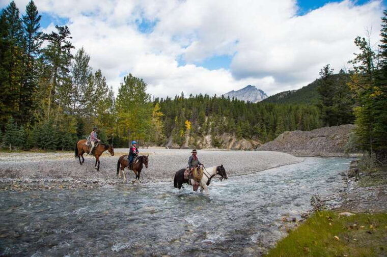 banff-4-hour-sulphur-mountain-intermediate-horseback-ride