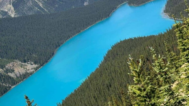 banff-calgary-canmore-crowfoot-glacier-and-5-lakes-tour