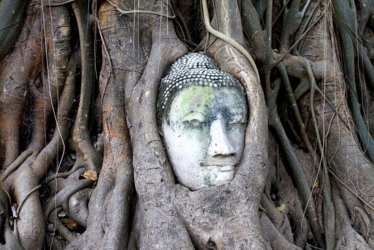 bangkok-audio-guides-for-bangkok-chiang-mai-ayutthaya