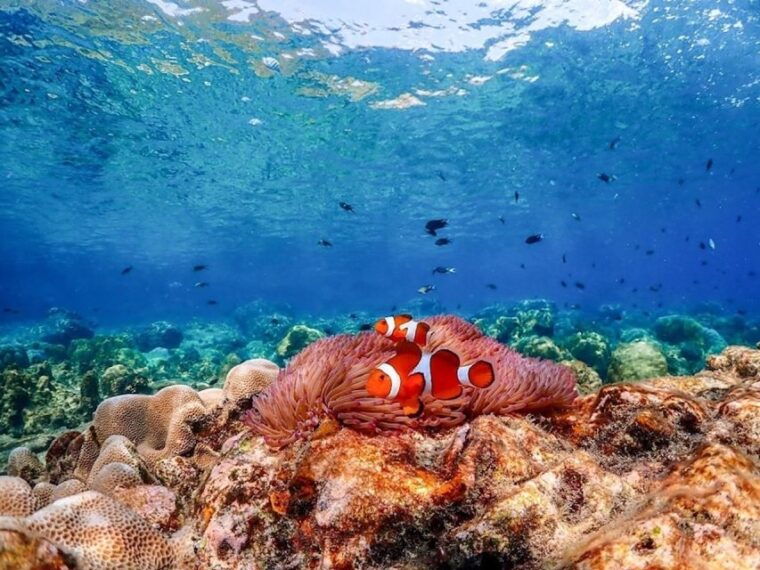 bangkok-nemo-island-day-trip-with-drone-photos-and-lunch
