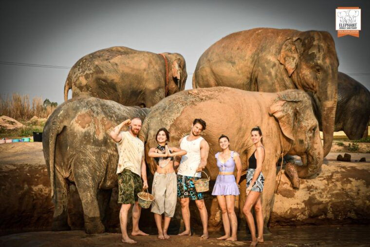 bangkok-pattaya-elephant-jungle-sanctuary-half-day-tour