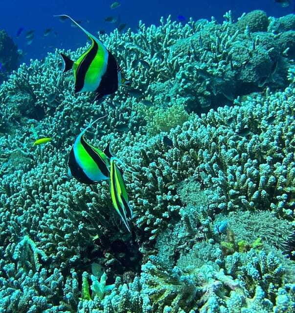 bantayan-island-intro-freediving-experience