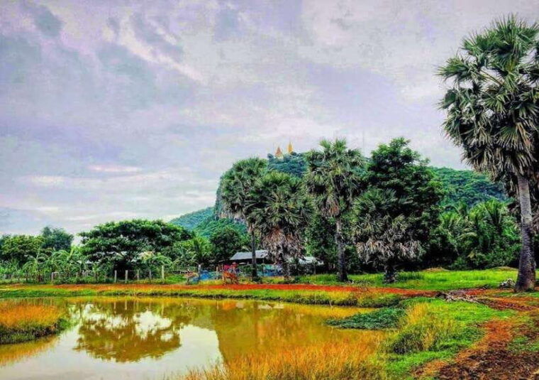 battambang-bamboo-train-bat-cave-killing-cave-by-tuk-tuk