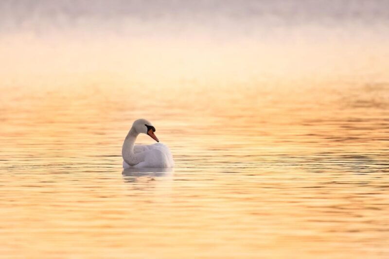 beginners-wildlife-photography-workshop