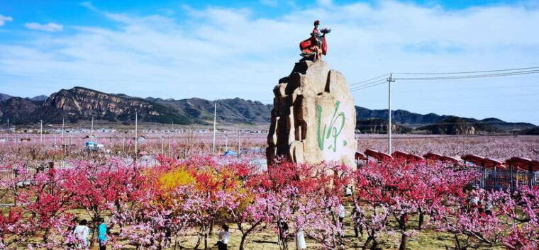 beijing-taoist-attractions-feature-day-tour%ef%bc%88with-options%ef%bc%89