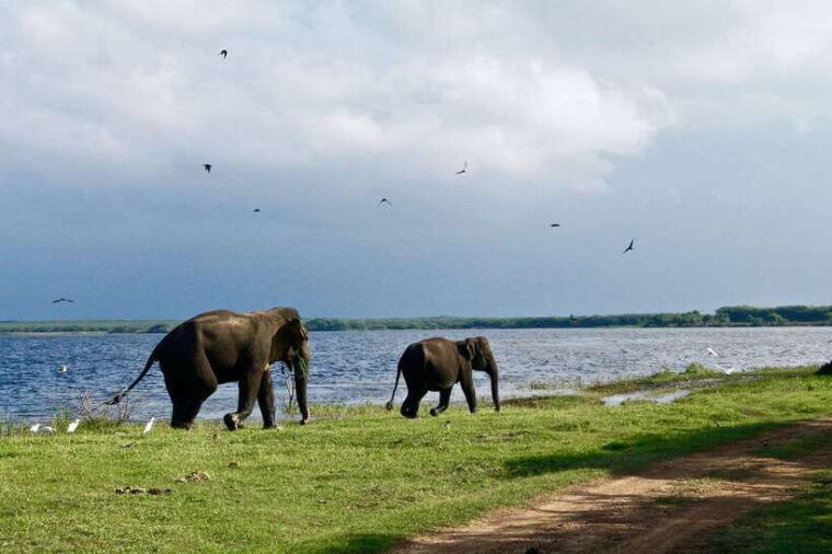 bentota-2-day-private-tour-wild-wonders-and-galle-fort